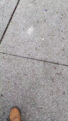 The video shows a first-person perspective of someone walking their black and white dog on a leash. The dog is seen briefly at the beginning, looking forward. The person's tan-brown shoe is visible as they walk along a grey concrete sidewalk composed of large square slabs. Between the slabs, there are thin lines of dirt and some sparse green growth.

As the person walks, the camera pans to the right, revealing a black metal fence that runs parallel to the sidewalk. Beyond the fence is a grassy area with some patches of bare earth and dry leaves. A brown American football is lying on the grass near the fence. The person reacts with a sound of surprise or observation, "Oh, what?" upon seeing the football.

The setting appears to be an outdoor public space, possibly a park or a residential area with green common grounds, in the City of Newburgh, United States of America. The lighting suggests it is daytime, possibly overcast, as there are no harsh shadows. The ground appears slightly damp.