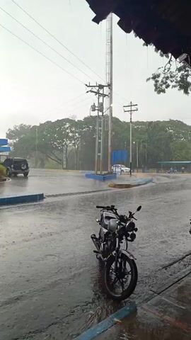 The video shows an outdoor scene during a heavy rain shower in Monagas, Venezuela. In the foreground, a dark-colored motorcycle is parked on a wet asphalt surface. The ground is covered with puddles, and raindrops are visibly falling, creating ripples. In the midground, a black Jeep is parked on the left, and a white car is moving on the right. Lush green trees line the background, and multiple utility poles with power lines extend across the frame. A prominent metal grate drain is visible in the wet pavement. Blue and yellow painted concrete barriers or curbs add color to the streetscape. The sky appears overcast due to the rain. The video seems to be recorded from under an awning or roof, with part of it visible in the upper right corner. No visible text is present.