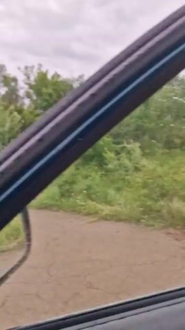 The video shows a view from inside a vehicle, looking out at a paved road with green grass and trees on either side. The sky is overcast. There are two other vehicles visible in the distance on the road, one appearing to be a truck and the other a smaller vehicle. The interior of the car is visible, including the door panel, door handle, side mirror, and a red can of what appears to be a beverage resting in a door pocket. The video appears to be shot while the vehicle is moving, indicated by the slight blur and shifting perspective.