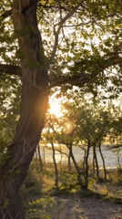Sunset scenes and local cuisine captured in Kaji-Say, Kyrgyzstan
