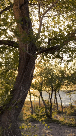 Sunset scenes and local cuisine captured in Kaji-Say, Kyrgyzstan