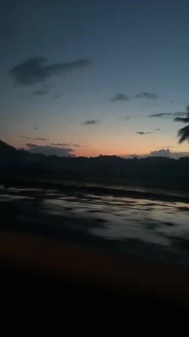 The video appears to be taken from a moving vehicle, likely a car, at dusk or dawn. In the initial frame, a body of water reflects the faint colors of the sky, and silhouetted palm trees are visible against the horizon. The scene quickly transitions to mostly darkness as the vehicle moves, with only glimpses of silhouettes of trees and the fading sky appearing intermittently. The lower part of the frame shows a dark surface, possibly the car's dashboard or window frame.  There are no people clearly visible in the video.