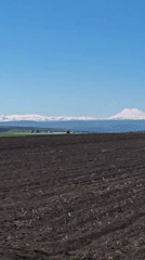 Spring agricultural landscape documented in rural Russia