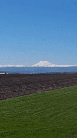 Spring agricultural landscape documented in rural Russia