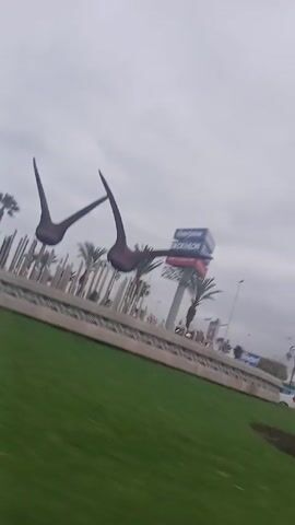 The camera is positioned on a moving vehicle, providing a view of a landscaped median strip with a bronze sculpture of two geese in flight. The median features a lush green lawn and various trees and plants, including several palm trees and cylindrical shrubs. In the background, commercial buildings are visible, including one with a prominent "Decathlon" sign, a sports equipment and apparel company. The sky is overcast and grey, suggesting a cloudy day. As the vehicle moves, the perspective shifts, offering different angles of the sculpture and the surrounding environment.
