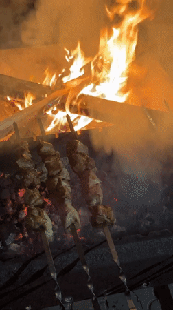 Backyard barbecue gathering documented in Tomilino, Russia