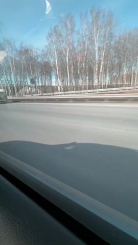 The video shows a view from inside a moving car, looking out of the passenger window.  The car is traveling on a highway under a bridge. Other cars can be seen passing by.  Bare trees line the side of the road.  The sky is blue. The interior of the car is visible along the bottom of the frame.