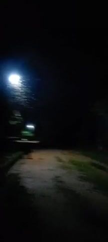 The video shows a dark night scene. The first frame is almost completely black with a faint, blurry light in the distance. As the video progresses, the camera pans to reveal a street lamp illuminating a patch of green grass. Numerous insects are visible flying around the light. The camera then moves further, showing more vegetation and a blurry, darker area that may be a building or fence. The final frames continue to show the street lamp and surrounding greenery, with the focus remaining on the insects illuminated by the light.