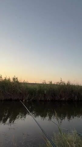 The video shows a serene, natural scene at dusk by a body of water. The sky transitions from a pale yellow near the horizon to a clear, light blue as it rises. Tall reeds and grasses line the bank of the water, their reflections visible on the calm surface. Two fishing rods are set up, extending from the foreground towards the water, suggesting someone is fishing. The overall atmosphere is peaceful and tranquil, indicative of a quiet evening outdoors.