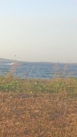 A jet ski is seen moving across a body of water. The water is blue and appears to be choppy with white foam from the jet ski's movement. Tall grass and dry brush are in the foreground, obscuring the lower portion of the scene. The sky is a pale, hazy blue.