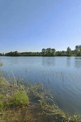 Peaceful lake scene documented under bright sunny skies