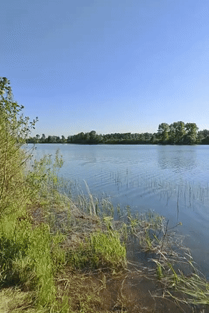 Peaceful lake scene documented under bright sunny skies