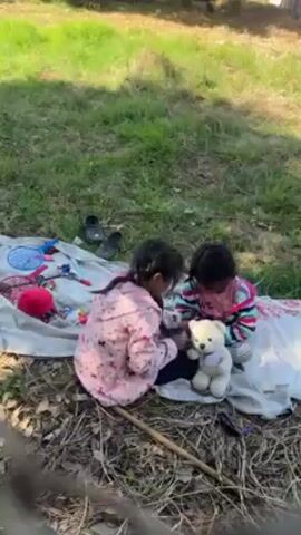 Two young children, likely girls, are sitting on a light-colored cloth spread out on a grassy area interspersed with dead leaves and twigs. They are interacting with a stuffed white bear, appearing to adjust something on it. The girl on the left is wearing a pink jacket with a horse pattern, and the girl on the right is wearing a striped sweater. A variety of toys and other items, including a badminton racket and a red hat, are scattered on the cloth around them. Two pairs of black shoes are also visible on the cloth. The background includes a green grassy area and trees. The video seems to have been shot through or near some kind of wire fence.