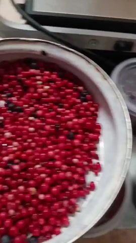 The video shows a close-up, top-down view of a large quantity of small, round berries. The berries are predominantly red, with some appearing lighter pink or white, and a few scattered dark blue or black berries. They are contained within a white enamel bowl with visible wear marks and some staining on the rim. The background is out of focus, but suggests an indoor setting with some metallic objects visible, possibly kitchen appliances. The camera movement is primarily slight zooms and pans, focusing on the texture and density of the berries. There is no visible human presence, only the berries and the bowl. The lighting is direct and appears to come from above. Some of the berries appear to have slight blemishes or variations in color, indicating they are likely fresh produce.