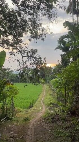 Khang Tanjong, Indonesia
