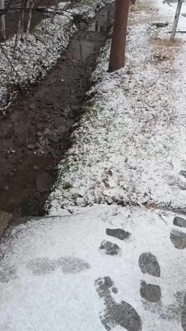 The video shows a narrow, muddy ditch running along a path partially covered with snow. On the snowy path, there are clear footprints indicating someone has walked through the area. The camera moves along the path, focusing on the ditch and the footprints in the snow. The ground is wet and some areas are covered in a thin layer of snow. A tree stands beside the ditch, and bare branches are visible in the background.