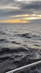 Rough gray seas off St. Petersburg under a stormy sky