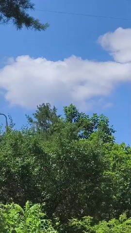 A video of trees and sky. The video pans to the right, showing various trees with green leaves against a blue sky with white clouds. A thin wire is visible across the top of the frame. The camera is moving, suggesting it is recording from a moving vehicle.