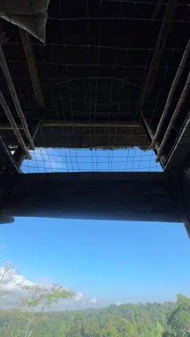 The video, from a first-person perspective, shows a view of lush green trees and a bright blue sky through an opening in a wooden structure. The opening is covered by a mesh net. The view is framed by the wooden beams and thatched roof of the structure. In the foreground, the lower half of the legs of a person are visible, wearing white pants with black polka dots, lying on a bed covered with a white sheet. The person's feet are bare. The camera is pointed upwards and outwards, capturing the expansive natural landscape beyond the immediate shelter. The lighting suggests it is daytime, with clear weather.