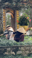 Early morning gardening and temple activities observed in Da Lat
