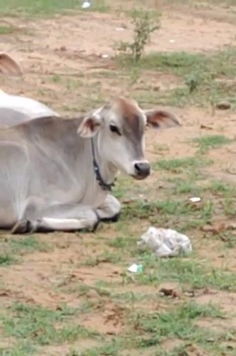 Gurgaon, India
