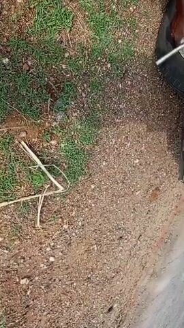 A person standing on the side of a gravel road uses a lug wrench to loosen the lug nuts on a car tire. The area around the person and the car tire contains gravel, grass, and small sticks.