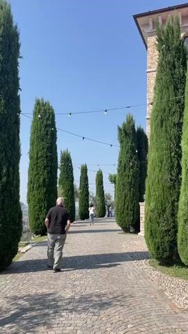The video shows a walkway lined with tall, slender trees leading towards a group of people in the distance. A man in a black shirt and gray pants walks along the paved walkway, away from the camera. The walkway is decorated with a string of lights overhead. 

The camera then pans to the right, revealing a sprawling landscape of rolling hills and vineyards. A small village is nestled among the green fields. A black metal fence stands at the edge of the walkway, separating it from the picturesque view. The sky is clear and blue.