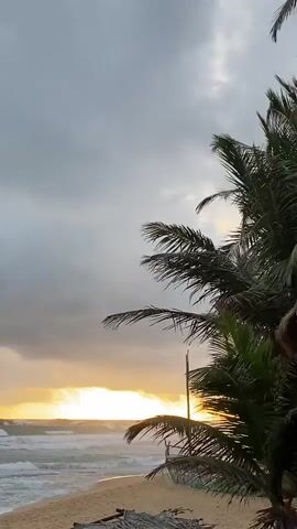 This media file showcases a serene beach scene in Hikkaduwa, Sri Lanka, captured during a dramatic sunset. The image is dominated by the vibrant hues of the setting sun, which breaks through a sky filled with heavy, gray clouds. The sunlight casts a warm, golden glow across the ocean and the sandy shore, creating a striking contrast with the dark, turbulent sky.

The foreground is adorned with the lush, green fronds of palm trees, their silhouettes adding depth and a tropical feel to the composition. The waves of the ocean crash onto the beach, their white foam a dynamic element against the calmer sand. The beach itself is unpopulated, contributing to the sense of tranquility and solitude. A few scattered palm fronds and a rudimentary thatched shelter lie on the sand, hinting at human presence without distracting from the natural beauty.

The time of day is clearly sunset, indicated by the low angle of the sun and the warm, intense colors. The weather appears to be transitioning, with storm clouds gathering overhead, creating a sense of anticipation and adding a touch of drama to the otherwise peaceful scene. The location cues of palm trees and the ocean strongly suggest a tropical coastal setting, further confirmed by the Hikkaduwa, Sri Lanka context. The overall mood conveyed is one of awe-inspiring natural beauty, with a touch of melancholy from the stormy sky juxtaposed against the vibrant sunset. There is no visible text in the media file.