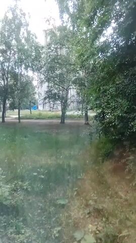 The video shows a view from a window looking out onto a grassy area with trees and a building in the background. There are a few cars parked in the distance. The foliage is green and lush, suggesting it is summertime. The lighting is somewhat overcast, but it is still bright enough to see clearly. The focus of the video appears to be on the natural elements outside the window, with the building and cars serving as a backdrop. There are no people visible in the frame, nor any discernible action taking place. The camera is stationary, offering a static perspective of the scene.