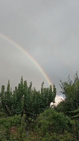 A rainbow arcs across a grey, cloudy sky. Lush green trees and foliage are visible in the foreground, with a portion of a house roof appearing on the left side of the frame in the latter half of the video. The camera is static, capturing the scene from a landscape perspective.