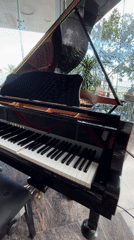 Piano performance and infinity pool captured at Vietnam oceanfront resort