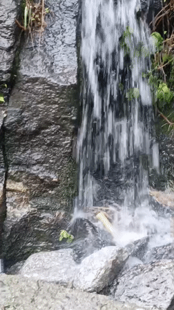 Waterfalls, orchards, and mountain valley views in Goshal