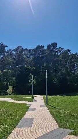 This video showcases a sunny day in Neringa, Lithuania, likely during the summer months, given the lush greenery and clear blue sky. The scene transitions between different outdoor areas, suggesting a park or recreational space adjacent to a body of water, possibly the Curonian Lagoon or the Baltic Sea.

The initial frames focus on a paved walkway winding through a manicured lawn, bordered by a dense line of trees. The sunlight is bright, casting clear shadows. As the video progresses, the perspective shifts to reveal a building with a brown tiled roof, possibly a hotel or restaurant, with outdoor seating areas visible under umbrellas. A person is seen walking in the distance. Further on, a large, mature tree stands prominently in a paved plaza, with benches and a trash receptacle nearby. The camera then captures two young people, a male and a female, walking towards the viewer. The male is wearing a backpack, and they appear to be casually strolling. The final frames offer a wider view, with a large tree again in the foreground, and beyond it, a glimpse of water and distant figures, reinforcing the impression of a waterfront location.

Overall, the media conveys a sense of peaceful outdoor activity and leisure in a well-maintained, natural setting. The bright, clear weather contributes to a feeling of warmth and pleasantness. There is no visible text in the video.