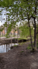 Evening walk captured across Saint Petersburg parks during sunset