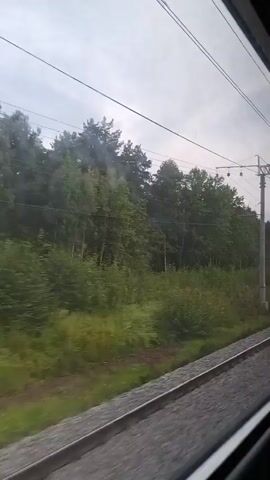 The video shows a view from a moving train window. Outside, a line of trees and vegetation runs parallel to the train tracks. Overhead, there are power lines supported by concrete poles, indicating an electrified railway. The sky is overcast, suggesting a cloudy or potentially rainy day. The perspective is from the side of the train, looking outwards. The motion of the train is evident from the blurred landscape and the slight vibrations implied by the camera's movement.
