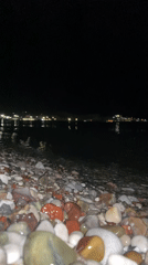 Nighttime scenes documented across Bar, Montenegro coastal area
