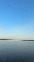 Peaceful dawn scenes captured at Votkinsk waterway with swans
