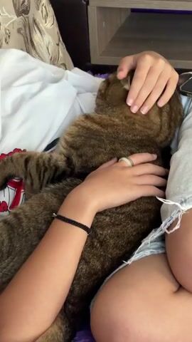 The video shows a close-up shot of a person's arms and a cat. The cat is lying on the person's lap, and the person's hands are gently stroking the cat's head and back. The cat appears to be a tabby with brown and black stripes. The person is wearing a white t-shirt and denim shorts. The background is slightly out of focus but appears to be an indoor setting with furniture. The lighting suggests it is daytime. The interaction is calm and affectionate.