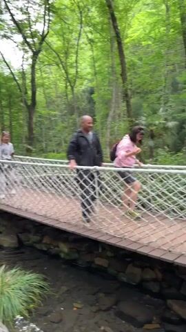 The video shows a group of people crossing a rope bridge in a lush, green forest. There are at least six individuals, including children and adults. They appear to be tourists or hikers enjoying a nature walk. The bridge is constructed of wooden planks and sturdy ropes, spanning a small stream or creek below. The surrounding environment features tall trees, dense foliage, and rocks along the water's edge, creating a serene, natural atmosphere. The people on the bridge seem cautious yet cheerful as they navigate the slightly swaying structure.