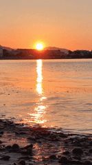 Evening beach sunset with dog walkers captured in Dénia