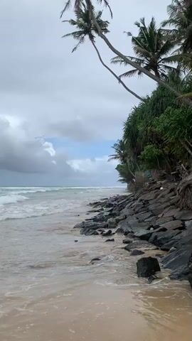 A vertical video shows a tropical beach with palm trees and lush green vegetation on the right. The ocean is on the left, with waves crashing against a rocky shore. The sky is overcast with clouds. The camera pans slightly to the left.