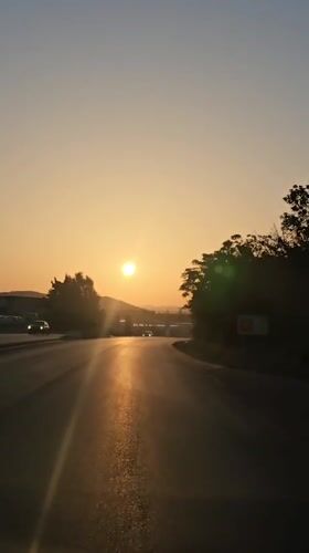 Golden sunset over a tree-lined road in Stara Zagora