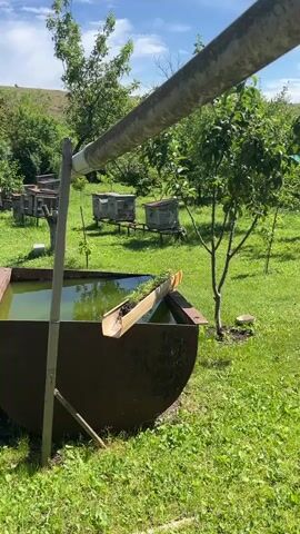 The video shows a close-up view of a large, rusted metal trough filled with green water. A long, wide pipe, possibly a drainpipe or gutter, extends diagonally across the frame from the upper left to the center right, above the trough. At the end of this pipe, a small, makeshift wooden trough filled with soil and small green plants is positioned so that it directs water into the larger trough. A few beehives are visible in the background, situated on a grassy lawn under a blue sky with scattered clouds. The environment appears to be a rural or garden setting with trees and lush green grass. The focus is on the water flowing from the pipe into the trough, suggesting a system for collecting or directing rainwater.