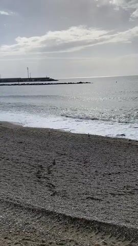 This video shows a pebble beach with waves gently washing ashore. In the background, a breakwater extends into the sea with a lighthouse or communication tower on it. A few seagulls are visible on the beach. The sky is cloudy, with sunlight filtering through.