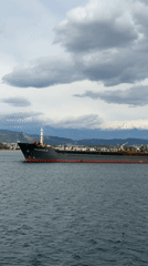 Cargo ship RIMONA spotted anchored in Fethiye harbor