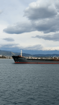 Cargo ship RIMONA spotted anchored in Fethiye harbor
