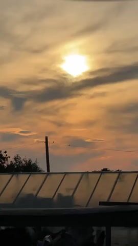 The video shows a sunset with the sun shining brightly through clouds. In the foreground, there is a greenhouse or similar structure with a transparent, angled roof. There are also trees and a utility pole visible. The sky is filled with wispy clouds in shades of orange and gray.