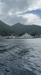 Ferry operations documented at Montenegro's Bay of Kotor terminal