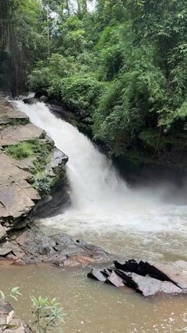 This is a vertical video of a waterfall in a forest. The water is white and foamy as it cascades down rocks. The surrounding environment is lush and green, with trees and vegetation visible. The lighting is somewhat dim, suggesting it might be a cloudy day or the area is shaded by the trees. The sound of the waterfall is audible. There are no people visible in the video.