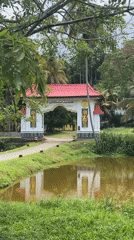 Golden Buddha statue sits in pond amid Sri Lankan village